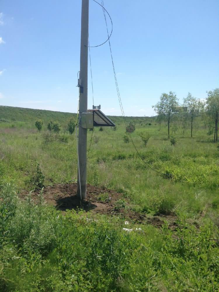 1683960320572666.jpg 1.jpg